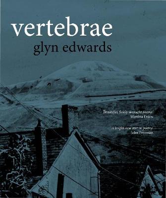 Vertebrae
